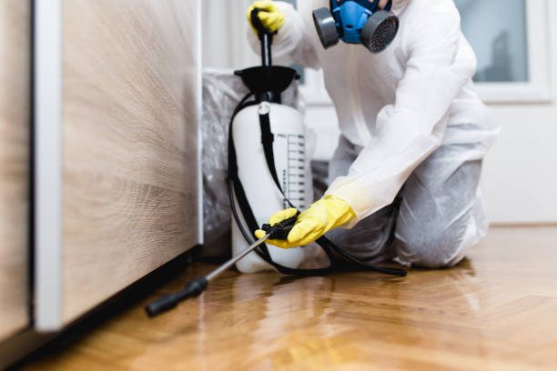 Best Affordable Pest Control Services  in Deschutes River Woods, OR