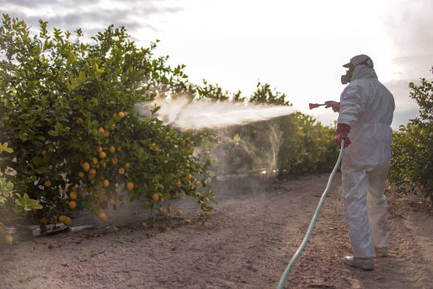  Deschutes River Woods, OR Pest Control Pros